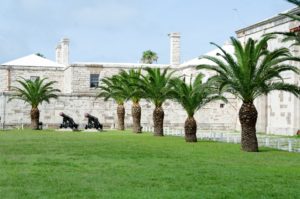 Palmen sorgen für karibisches Flair auf Bermuda