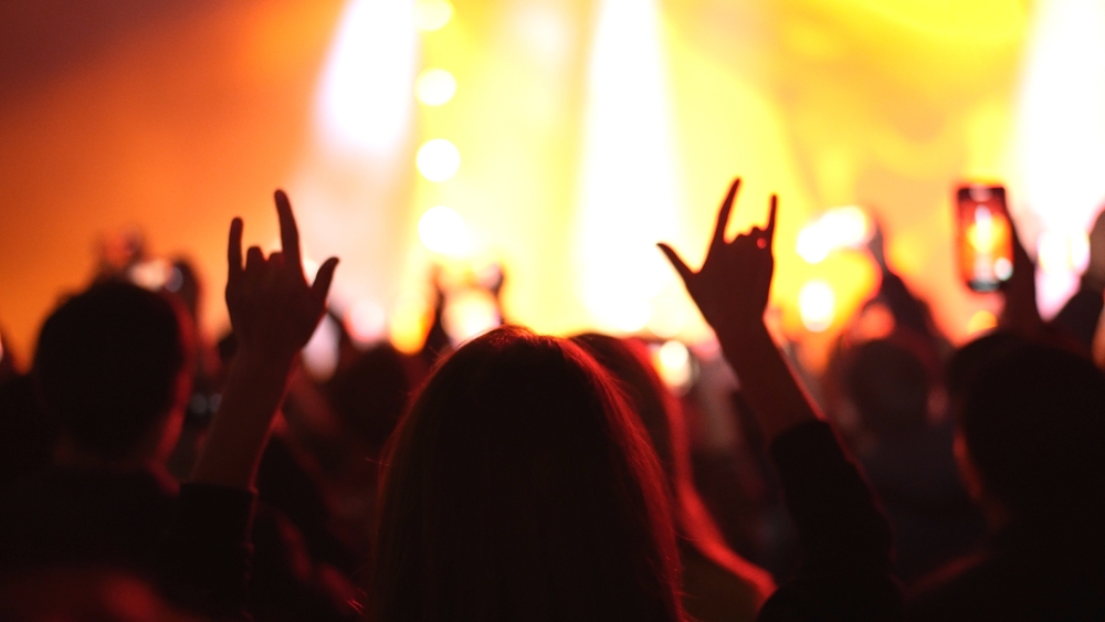 Menschenmenge auf einem Konzert