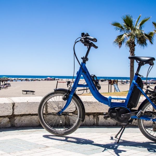 Landausfluggäste können sich bei Ihrer Fahrradtour auch für ein E-Bike entscheiden