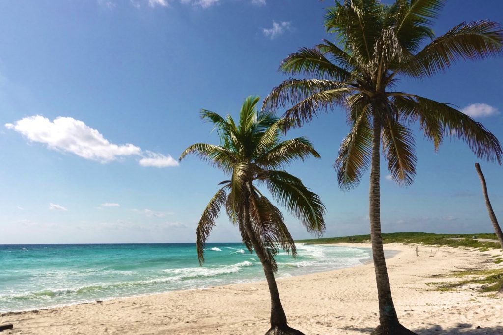 Cozumel auf eigene Faust - Alle Infos | Meine Landausflüge