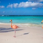 Kreuzfahrt im Februar