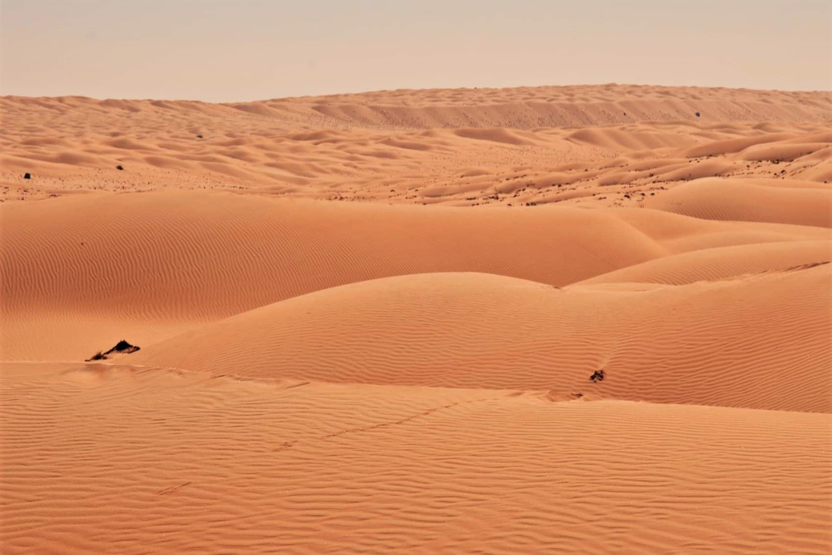 Die Wüste im Oman