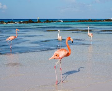 Mein Schiff 1 Mittelamerika Erfahrungen