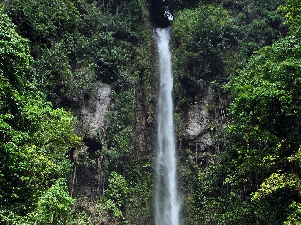 Landausflüge in Roseau (Dominica)