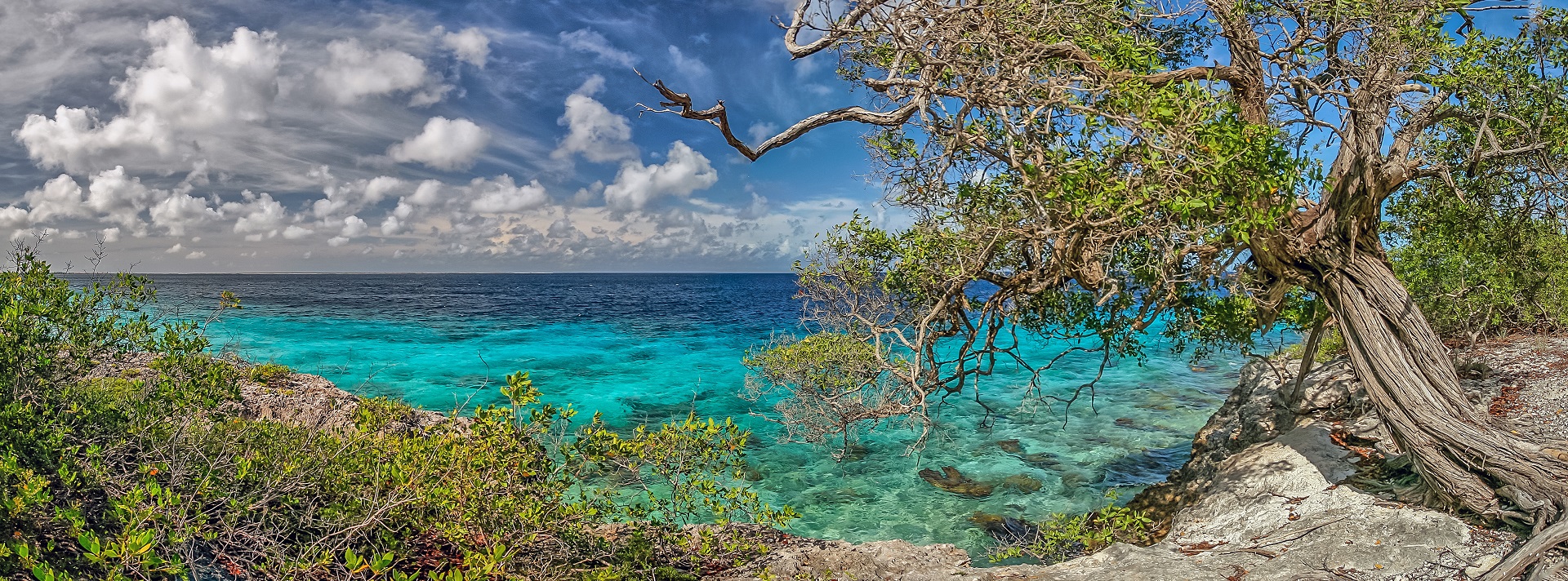 Landausflug in Kralendijk (Bonaire)