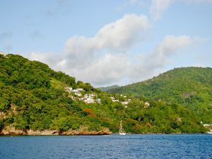 Blick auf die ursprüngliche, grüne Insellandschaft