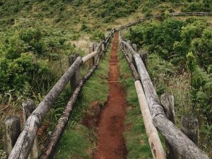 Entlang des Landschaftspfades Furnas de Enxofre können Sie vulkanische Aktiviäten beobachten
