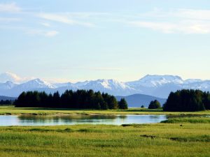 Ausblick auf den Chilkat State Park mit Bergkette im Hintergrund