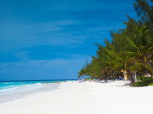Weißer Sand, klares Wasser und grüne Palmen auf Barbados