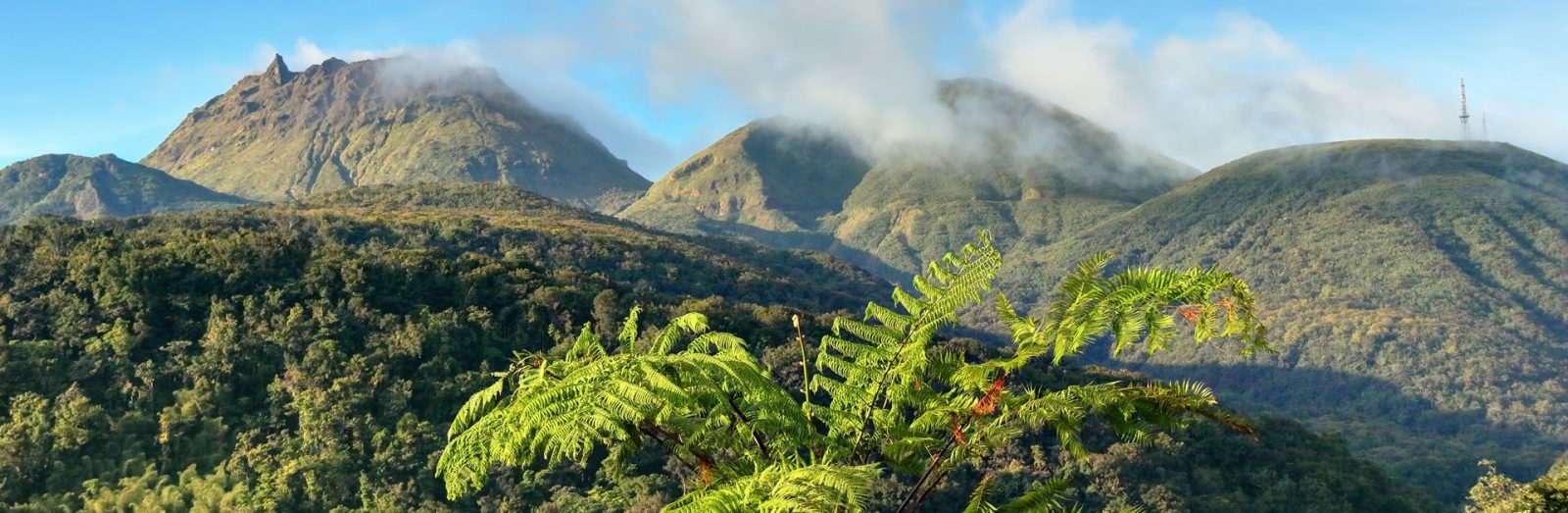Landausflug in Pointe-à-Pitre (Guadeloupe)