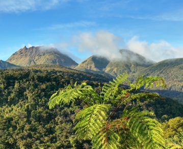 Landausflug in Pointe-à-Pitre (Guadeloupe)
