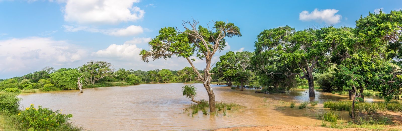 Landausflug in Hambantota