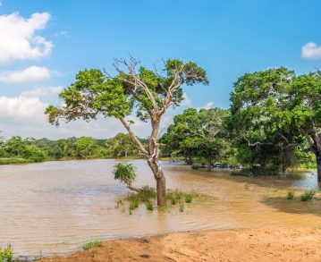 Landausflug in Hambantota