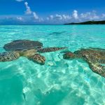 Ausflugstipps Bahamas