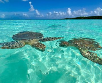 Ausflugstipps Bahamas