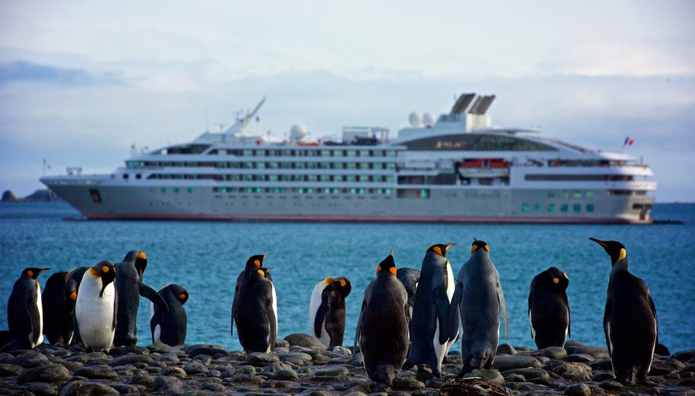 Eine Gruppe von Pinguinen steht an der Küste und im Hintergrund ist ein Kreuzfahrtschiff zu sehen