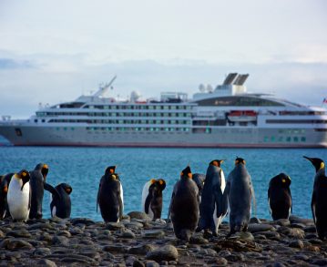 Antarktis-Kreuzfahrten