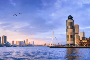 Rotterdam auf eigene Faust