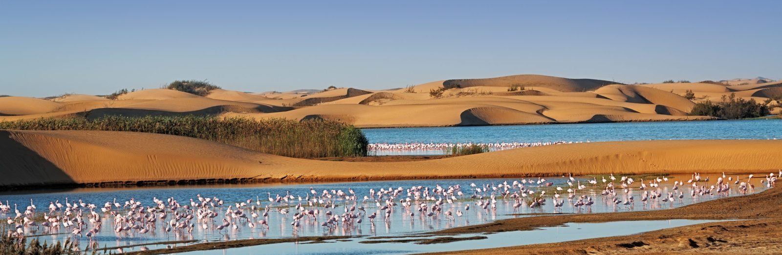 Landausflug in Walvis Bay