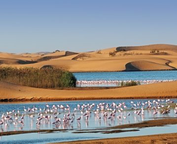 Landausflug in Walvis Bay