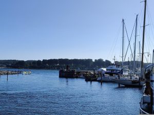 Landausfluggäste genießen den Blick auf die Hafenpromenade in Aarhus