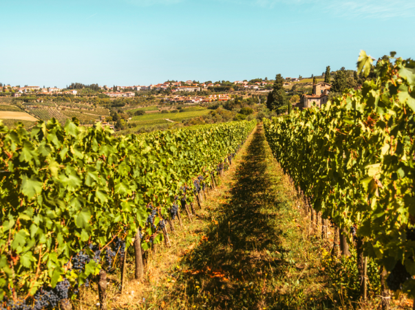 Chianti-Weinanbaugebiete